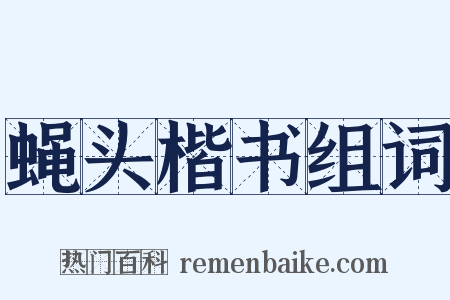 蝇头楷书组词是什么意思的图片